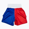 Боксови гащета Fairtex BT2001 'Philippines' - червени/бели/сини боксови гащета 2