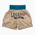 Боксови гащета Fairtex BT2010 'Vintage' каки боксови шорти 2