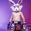 Мъжки шорти за тренировка YOKKAO Angry Rabbit Muay Thai black 6