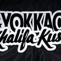 Мъжки шорти за тренировка YOKKAO Khalifa Kush Muay Thai black 4
