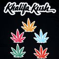 Мъжка тениска за тренировки YOKKAO Khalifa Kush Workout black 3