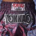 Мъжки шорти за тренировка YOKKAO Lunar Muay Thai iridescent blue grey 13