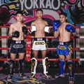 Мъжки тренировъчни шорти YOKKAO Original Muay Thai electric blue 9