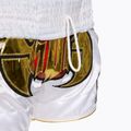 Къси панталони за тренировка Top King Kickboxing multicolour 5