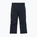 Мъжки сноуборд панталони Volcom L Gore-Tex Pant Black 10