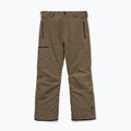 Мъжки сноуборд панталони Volcom L Gore-Tex Pant Teak 9