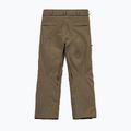 Мъжки сноуборд панталони Volcom L Gore-Tex Pant Teak 10