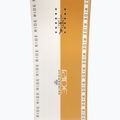 Сноуборд RIDE ZERO gold 12F0027.1.1 4