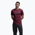 Мъжка тениска Atomic Alps maroon