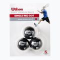 Топки за скуош Wilson Staff Ball Red Dot 3 бр. черни. 2