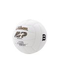 Wilson Castaway Mini топка бяла 3