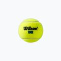 Топки за тенис Wilson Tour Premier All Ct 3 бр. жълти WRT109400 3