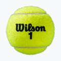 Wilson Roland Garros All Ct топки за тенис 3 бр. жълти WRT126400 2
