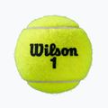 Топки за тенис Wilson Roland Garros All CT 4 бр. жълти 5