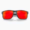 Слънчеви очила Oakley Holbrook XL matte black camo/prizm ruby 2