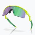 Детски слънчеви очила Oakley Resistor retina burn/prizm jade 5