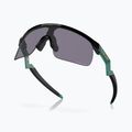 Детски слънчеви очила Oakley Resistor black/prizm grey 4