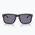 Слънчеви очила Oakley Holbrook Fathom Collection матово черно/призмено сиво 2