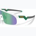 Детски слънчеви очила Oakley Resistor matte white/prizm jade 6