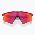 Детски слънчеви очила Oakley Resistor Sweep redline/prizm field 3