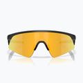 Детски слънчеви очила Oakley Resistor Sweep Polished Matte Black/Prizm 24K 2