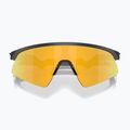 Детски слънчеви очила Oakley Resistor Sweep Polished Matte Black/Prizm 24K 3