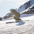 Ски палки Komperdell Booster Speed Carbon Series бели/сребърни 9