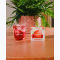 Изотонична напитка Microdrink Relax 12 кубчета hibiscus acerola 3