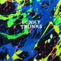Детски бански гащета FUNKY TRUNKS Sidewinder Trunks colorful FTS010B7129624 3