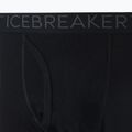 Мъжки термо панталони Icebreaker 200 Oasis W/Fly 001 black IB1043700011 9