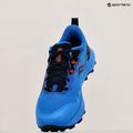 Мъжки обувки за бягане Saucony Peregrine 14 cobalt/black 11