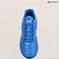 Мъжки футболни обувки Joma Aguila FG royal 14