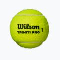 Тенис топки Wilson Triniti Pro 3 бр. yellow 2