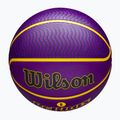 Wilson NBA Player Icon Outdoor Lebron баскетбол WZ4005901XB7 размер 7 5