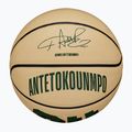Wilson NBA Player Icon Mini Giannis баскетбол WZ4007501XB3 размер 3