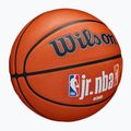 Детски баскетболен Wilson NBA JR Fam Logo Автентичен външен размер 5 2