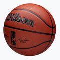 Wilson NBA баскетбол Authentic City Chicago brown размер 7 3