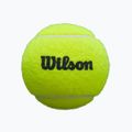 Топки за падел Wilson Premier 3 бр. жълт 5