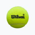 Топки за падeл Wilson Premier Padel Speed 3B 3 бр. yellow 2