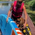 Спасителна жилетка за куче Cressi Dog Life Jacket black/yellow 8