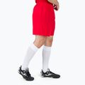 Мъжки тренировъчни шорти Joma Treviso red 100822.600 2