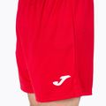 Мъжки тренировъчни шорти Joma Treviso red 100822.600 4