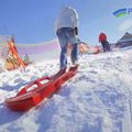 Prosperplast Морски лъв, синя шейна ISBLION-3005U 6