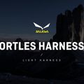 Salewa Ortles Катерачен сбруя жълт 00-0000001751 7
