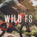 Orbea Wild FS H10 сребърен електрически велосипед M34718WB 14