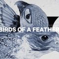 Дамски сноуборд CAPiTA Birds Of A Feather 1221108 5