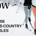 Пръти за ски бягане Salomon Escape Alu 10