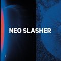 Мъжки сплитборд CAPiTA Neo Slasher color 1221152 10