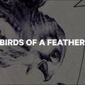 Дамски сноуборд CAPiTA Birds Of A Feather white 1211119 13