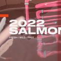 Уейкборд SLINGSHOT Salmon pink 9